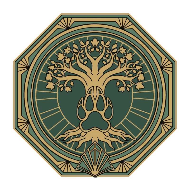 Les Classes classe druide